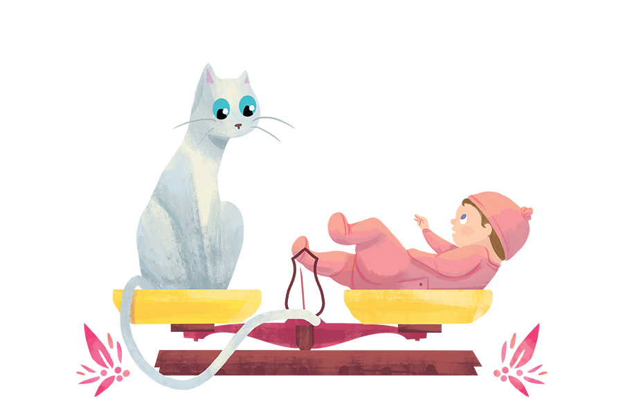 Invitation-illu-baance